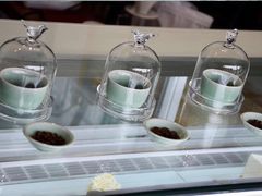 -bear cafe熊咖啡(和平中路店)