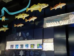-同济大学四平路校区深海探索馆