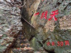 -天女山森林公园