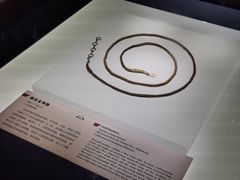 -广东省博物馆