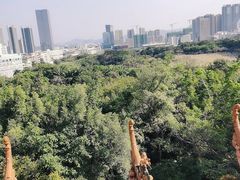 -深圳龙潭公园