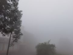 -武陵山森林公园