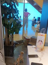 -YASAKI国际舞蹈中心