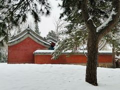 -颐和园