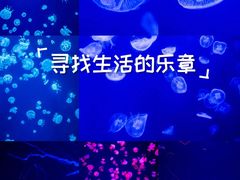 -深圳野生动物园