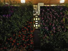 -白天鹅宾馆-健身中心