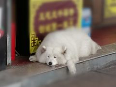 -蒋氏故居