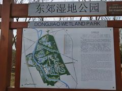 -东郊湿地公园