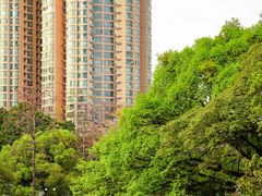 -晓港公园