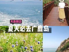 -广鹿岛景区