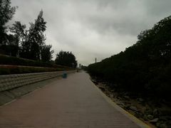 -宝安西湾红树林湿地公园