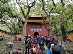 -普陀山风景名胜区-法雨禅寺