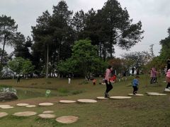 -铁山坪森林公园