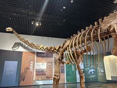 -衢州市博物馆