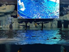 -福州罗源湾海洋世界旅游区