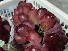 -马陆小张葡萄园农家乐