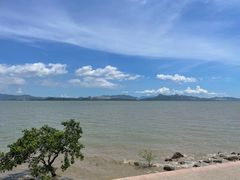 -深圳湾公园(南山区)