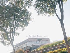 -江心屿景区
