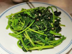 -大榕树下顺德菜(融创茂店)