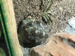 -灵玲国际马戏城