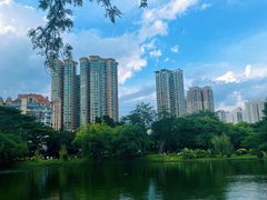 -晓港公园