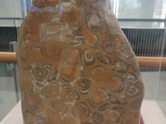 -天津市规划展览馆