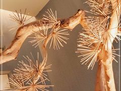 -春熙台韩国料理·章鱼肥牛(西丽店)