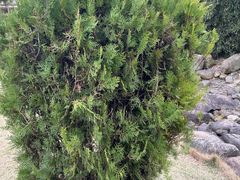 -白塘生态植物园
