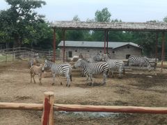 -西安秦岭野生动物园