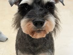 -沐沐家宠物(成寿寺店)