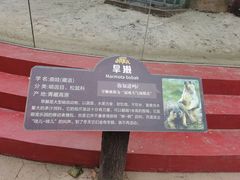 -北戴河集发农业梦想王国