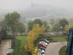 -成都蒲江花样年福朋喜来登度假酒店·宜客乐西餐厅