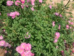 -大运河源头遗址公园