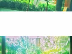 -西安国际创新人才交流中心•药浴温泉