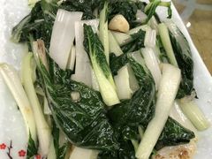 -年辉渔村