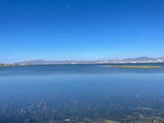 -洱海月湿地公园