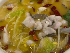 鲜花椒美鱼-蜀腾川·火锅鱼.烤鱼(新世界城店)