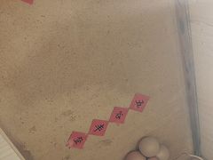 -老萍巷•莲花血鸭(楚萍店)