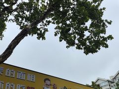 -鞠氏黑芝麻糊(水塔店)