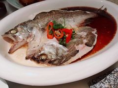 葱椒鲈鱼-绿茶餐厅(领展购物广场·中关村店)