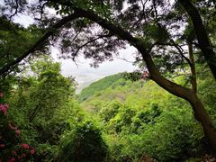 -大雁山风景区