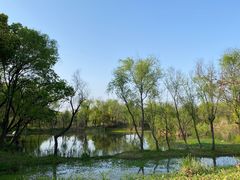 -西溪国家湿地公园