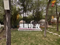 -维斯特·夜烤牛肋条任吃