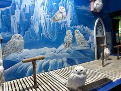 -成都浩海立方海洋公园