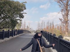 -上海长兴岛郊野公园