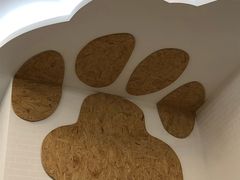 -纳吉亚猫专科动物医院·北北分院