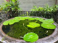 -佛山市祖庙博物馆