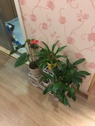 -本真坊美容美体沙龙