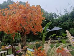 -HERRE·FARM 赫尔露营农场·团建聚会包场