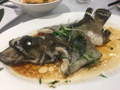 -稻香酒家·35年老字号(侨光店)